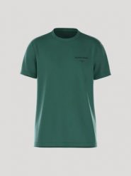 Bjorn_borg BORG ESSENTIAL 1 T-SHIRT POSY GREEN męski. Zielone t-shirty męskie Björn Borg, l, bez wzorów, bez kołnierzyka. Za 174.50 zł.