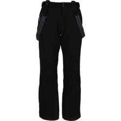 Spodnie narciarskie męskie Whistler Gippslang W-PRO 15000. Czarne spodnie snowboardowe męskie Whistler, l, bez wzorów, narciarskie. Za 399.99 zł.