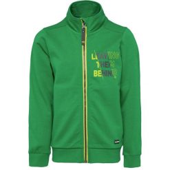 Bluza dziecięca LOAP Dorad zielona 122-128, z zamkiem. Zielone bluzy dla chłopców LOOP, bez wzorów, bez ramiączek, z kapturem. Za 167.99 zł.