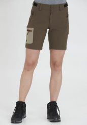 Spodenki damskie Whistler Globe Stretch. Szare szorty damskie Whistler, bez wzorów, z elastanu. Za 149.99 zł.