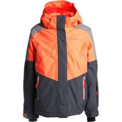 Icepeak HAIDE JUNIOR Kurtka narciarska abricot. Kurtki i płaszcze dla dziewczynek Icepeak, z materiału. W wyprzedaży za 377.10 zł.