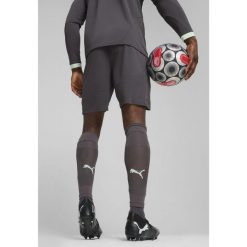 Męskie szorty AC Milan 24/25 PUMA Shadow Gray Fresh Mint Green. Szare krótkie spodenki sportowe męskie Puma, m, bez wzorów, do piłki nożnej. W wyprzedaży za 134.00 zł.