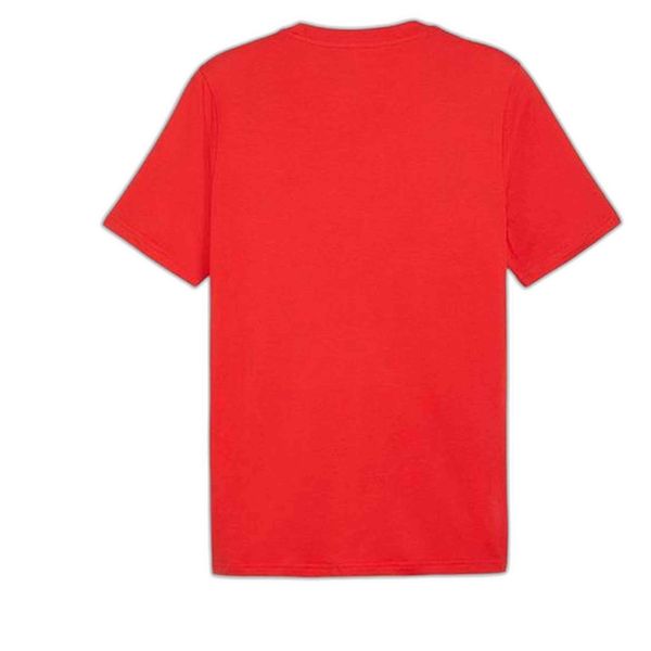 Puma Koszulka Graphics Summer Sports Ii 62790911. Czerwone buty sportowe męskie Puma, bez zapięcia, na fitness i siłownię. Za 67.99 zł.
