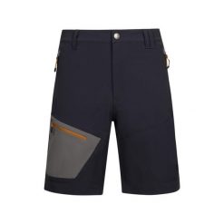 Trespass Daars - Męskie spodenki przygodowe Dark Flint. Szare krótkie spodenki sportowe męskie Trespass, m, bez wzorów, outdoorowe. Za 314.99 zł.