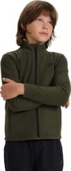 Polar dla chłopca 4F M413 khaki 4FJWAW25TFLEM413 43S 134. Brązowe bluzy dla chłopców 4f, bez wzorów, z polaru, bez ramiączek, bez kaptura. Za 136.14 zł.