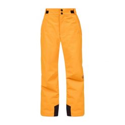 Spodnie narciarskie dziecięce Rossignol Boy Ski. Brązowe spodnie sportowe dla chłopców Rossignol, bez wzorów, z materiału, sportowe, narciarskie. Za 315.00 zł.