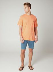 Koszulka męska Protest PRTBRADIE t-shirt. Brązowe t-shirty męskie Protest, na lato, l, bez wzorów, z dzianiny, eleganckie, bez kołnierzyka. Za 109.90 zł.