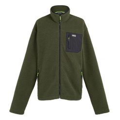 Męski Polar Frankie Borg. Zielone bluzy męskie Regatta, na zimę, m, bez wzorów, z polaru, bez kaptura. Za 81.99 zł.