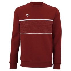 Bluza Tecnifibre Team. Białe bluzy męskie TECNIFIBRE, bez wzorów, bez kaptura. W wyprzedaży za 206.00 zł.