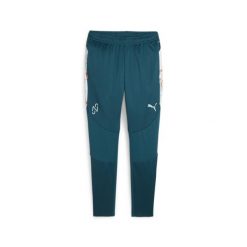 Piłkarskie spodnie treningowe PUMA x NEYMAR JR Creativity PUMA. Brązowe spodnie sportowe męskie Puma, m, bez wzorów, z dresówki, na fitness i siłownię. Za 229.99 zł.