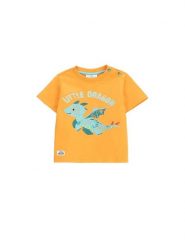 Coccodrillo T-Shirt WC5143202DBN Pomarańczowy Regular Fit. Brązowe t-shirty dla chłopców COCCODRILLO, bez wzorów, z bawełny, bez ramiączek. Za 29.99 zł.