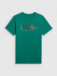 4F T-shirt regular z nadrukiem męski - zielony 3XL. Zielone koszulki sportowe męskie 4f, m, bez wzorów, z bawełny, bez kołnierzyka, bez ramiączek. Za 69.99 zł.