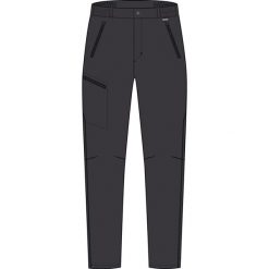 Pantalon Regatta Xert Stretch. Szare spodnie sportowe męskie Regatta, na lato, bez wzorów, trekkingowe. Za 299.99 zł.