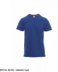 PAYPER T-shirt męski koszulka BAWEŁNA ELASTYCZNA komfort podczas intensywnych ćwiczeń 100% bawełna g/m biały zielony niebieski royal L. Białe t-shirty męskie PAYPER, l, bez wzorów, z bawełny, bez kołnierzyka. Za 42.40 zł.