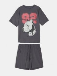 Bawełniana dwuczęściowa piżama z nadrukiem pitbulla - szary. Szare piżamy męskie Sinsay, l, bez wzorów, z bawełny, bez ramiączek. Za 35.99 zł.