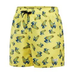 Szorty kąpielowe dziecięce Speedo Printed 13". Żółte kąpielówki dla chłopców Speedo, bez wzorów. Za 66.99 zł.
