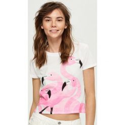 T-shirt z flamingami - Biały. T-shirty damskie marki Sinsay. Za 24.99 zł.