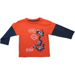 Carodel Koszulka Chłopięca Z Dinozaurami 80 Niebieski/Pomarańcz. T-shirty dla chłopców marki Carodel. Za 29.00 zł.
