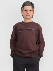 4F Longlseeve regular z nadrukiem chłopięcy - brązowy 134 (8-9 lat). Brązowe t-shirty dla chłopców 4f, bez wzorów, z bawełny, bez ramiączek. W wyprzedaży za 49.99 zł.