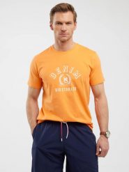 Koszulka męska z nadrukiem pomaraŅczowa Bester 703. Brązowe t-shirty męskie Big Star, l, bez wzorów, z bawełny, casualowe, bez kołnierzyka. W wyprzedaży za 59.99 zł.