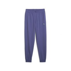 Męskie spodnie Essentials Elevated PUMA Blue Crystal. Niebieskie buty sportowe męskie Puma, bez zapięcia, na fitness i siłownię. W wyprzedaży za 174.00 zł.