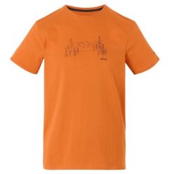 T-shirt Męski Z Górą Breezed. Brązowe koszulki sportowe męskie Regatta, m, bez wzorów, sportowe, bez kołnierzyka. Za 41.99 zł.