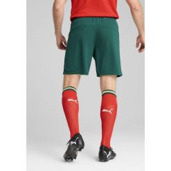 Męskie szorty Portugalia 2025 PUMA Blessing Green Sugared Almond Beige. Brązowe krótkie spodenki sportowe męskie Puma, l, bez wzorów, do piłki nożnej. W wyprzedaży za 174.00 zł.