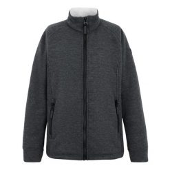 Damska Bluza Polarowa Emilde Z Pełnym Zamkiem Błyskawicznym. Szare bluzy damskie Regatta, na zimę, bez wzorów, z polaru, bez kaptura. Za 103.99 zł.