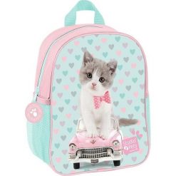 PASO Plecak Studio Pets błękitno-różowy (PET-303). Torby i plecaki dziecięce marki PASO. Za 27.55 zł.