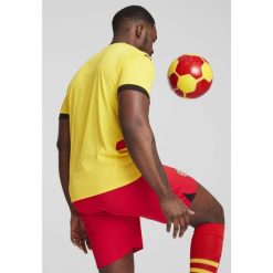 Męska koszulka domowa RC Lens 24/25 PUMA Pelé Yellow Red. Czerwone koszulki sportowe męskie Puma, m, bez wzorów, ze lnu, bez kołnierzyka, bez ramiączek, do piłki nożnej. W wyprzedaży za 229.00 zł.