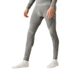 Legginsy Dare 2B In The Zone III. Szare legginsy sportowe męskie Dare 2b, m, bez wzorów, z elastanu, narciarskie. Za 115.99 zł.