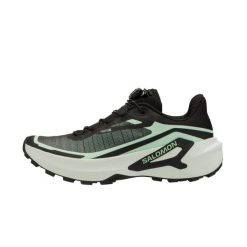 Buty do biegania w terenie damskie Salomon Genesis 2. Obuwie sportowe damskie Salomon, bez wzorów, z materiału, do biegania. Za 669.99 zł.
