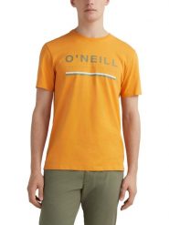 T-shirt męski O'Neill Arrowhead T-Shirt z krótkim rękawem. Brązowe t-shirty męskie O'Neill, m, bez wzorów, z bawełny, biznesowe, bez kołnierzyka. Za 119.00 zł.
