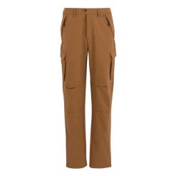 Spodnie cargo Regatta Questra. Brązowe spodnie sportowe męskie Regatta, na lato, bez wzorów, trekkingowe. Za 249.99 zł.