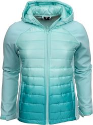 4f Kurtka przejściowa softshell z kapturem dla dziewczynki 4F miętowa HJZ21 JSFD002A 47S 164cm. Zielone kurtki i płaszcze dla dziewczynek 4f, bez wzorów, z softshellu, z kapturem. Za 149.16 zł.