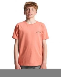 Koszulka z krótkim rękawem dla Chłopcy URBAN NOMAD Różowy. Czerwone t-shirty dla chłopców Quiksilver, bez wzorów, z bawełny, bez ramiączek. Za 42.50 zł.