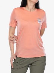 Koszulka damska Ortovox 140 Cool Mtn Gradient TS. Brązowe t-shirty damskie ORTOVOX, l, bez wzorów, z materiału, bez kołnierzyka. Za 269.49 zł.