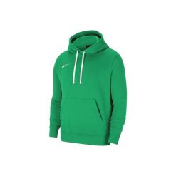 Bluza z kapturem Nike Park 20 Hoodie, Mężczyźni. Zielone bluzy męskie Nike, l, bez wzorów, z bawełny, z kapturem, na fitness i siłownię. Za 199.99 zł.