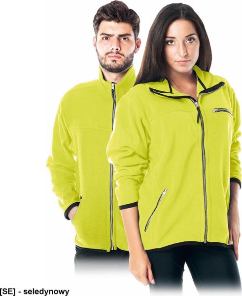 R.E.I.S. POLAR-HONEY - bluza, miły w dotyku krótko strzyżony polar, 100% poliester 290 g/m2, suwak, 3 zasuwane kieszenie - seledynowy M. Zielone bluzy męskie R.E.I.S., m, bez wzorów, z polaru, bez kaptura. Za 73.90 zł.