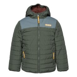 Kurtka Ocieplana Dla Chłopca Zimowa Janko. Zielone kurtki i płaszcze dla chłopców IGUANA, na zimę, bez wzorów, z puchu, sportowe, bez kaptura. Za 262.99 zł.