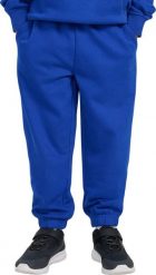 4f Spodnie dla chłopca 4F CAS M1245 kobalt 4FJWAW25TTROM1245 36S 158cm. Spodnie sportowe dla chłopców 4f, bez wzorów, sportowe. Za 71.57 zł.