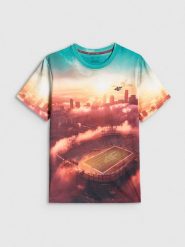 4F T-shirt regular z nadrukiem męski - multikolor XXL. T-shirty męskie 4f, m, bez wzorów, z materiału, bez kołnierzyka. Za 79.99 zł.