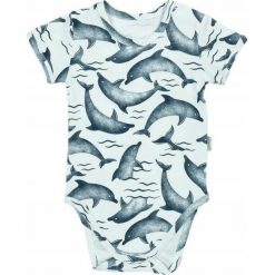 NICOL Body niemowlęce DELFIN 80. Body niemowlęce NICOL, bez wzorów, bez ramiączek. Za 29.99 zł.