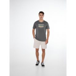 Koszulka męska Protest PRTCAARLO t-shirt. Szare koszulki sportowe męskie Protest, l, bez wzorów, sportowe, bez kołnierzyka. W wyprzedaży za 76.99 zł.