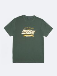 Koszulka męska z nadrukiem zielona Briss 304. Zielone t-shirty męskie Big Star, l, bez wzorów, z bawełny, klasyczne, bez kołnierzyka. Za 99.99 zł.