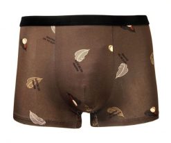 Bokserki Obcisłe, Brązowe w Liście, Bawełniane, Majtki z Elastanem -ALTIES. Brązowe bokserki męskie Alties, l, bez wzorów, z bawełny. Za 35.00 zł.