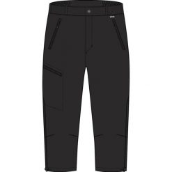 Szorty Regatta Xert Stretch. Czarne krótkie spodenki sportowe męskie Regatta, bez wzorów, trekkingowe. W wyprzedaży za 279.99 zł.