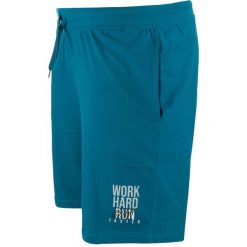 Szorty męskie Athl. DPT. Einar - turkus karaibski. Buty sportowe męskie ZFOAM, na zimę, m, bez wzorów, z bawełny, do biegania. Za 172.99 zł.