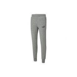 Spodnie Puma Essentials Slim, Mężczyźni. Szare spodnie sportowe męskie Puma, m, bez wzorów, z bawełny, na fitness i siłownię. Za 190.00 zł.