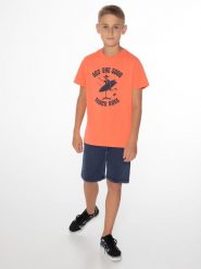 Koszulka chłopięca Protest PRTJURIEN JR t-shirt. Brązowe t-shirty dla chłopców Protest, bez wzorów, z dzianiny, bez ramiączek. Za 69.90 zł.